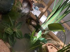 -相遇·鲜炒黄牛肉(丹阳吾悦广场店)