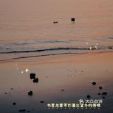 北海 涠洲岛日落🌄丨落日就是温柔本身