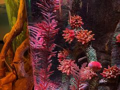 -沈阳海洋探索中心