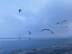 -星海广场