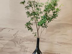 -恒悦轩·粤菜(上海展览中心店)