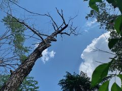 -长春市南湖公园