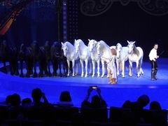 -珠海横琴长隆《卡卡虎奇遇记》