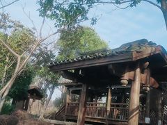 -武汉园博园(武汉自然博物馆)