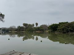 -江心屿景区