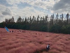 -嘉北郊野公园