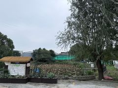 -元鼎宝驴香·全驴宴(江宁店)