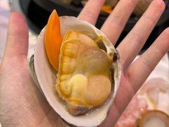 -半岛听涛蒸汽海鲜自助(K11店)