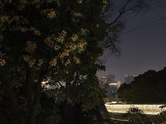 -福道