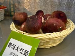 -菌海森林·非遗野生菌火锅(西山区滇池路摩根道店)