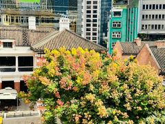 -大馆(前中区警署建築群)