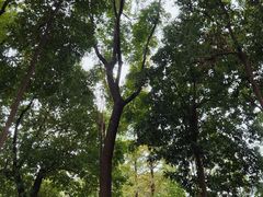 -成都市活水公园