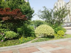 -西北湖绿化广场