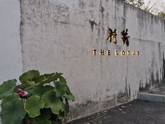 -几荷·恰似故人来(秀水广场店)