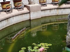 -青岛德国总督楼旧址博物馆