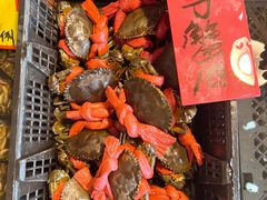 -湛江渔港·大排档(乐园路总店)