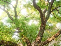 -湖北美术学院(昙华林校区)