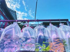 -华声天桥民俗文化园