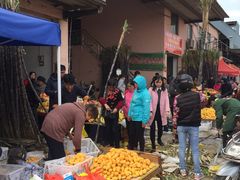 -上海浦南农副产品批发市场