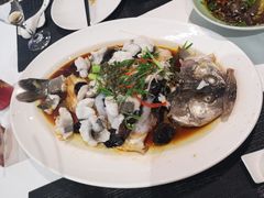 清蒸藤椒深海鲈鱼-胡记饭店(保工街店)