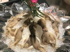 -煲宫猪肚鸡(昆山金鹰国际购物中心店)