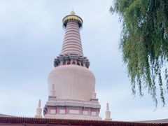 -张掖大佛寺景区