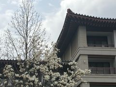 -华清宫景区