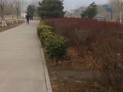 -永定河休闲森林公园