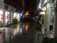 -王阿姨文昌油赞子(府桥街店)