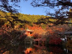 -醍醐寺