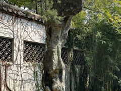 -惠山古镇·寄畅园