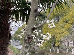 -太子山公园(园东路)