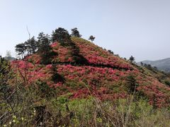-木兰云雾山