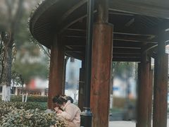 -葑门横街
