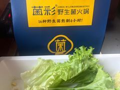 -菌彩云南野生菌火锅(呈贡七彩云南第壹城店)