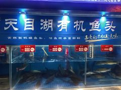 -亳府大院(亳州店)