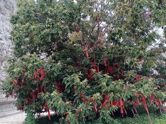 -艾山风景名胜区