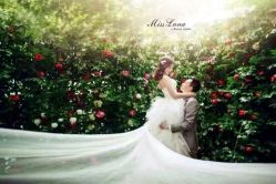 点击看大图 -韩国艺匠ARTIZ STUDIO(博览中心店)