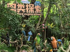 -广州长隆飞鸟乐园