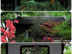 -上海醉白池公园