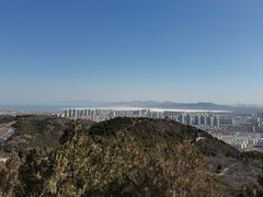 -府君山公园