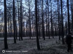 -塞罕坝国家级自然保护区