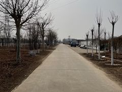 -甜心庄园·甜心草莓采摘园(西青中北店)