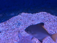 -沈阳海洋探索中心