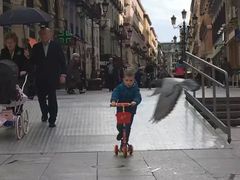 -皮拉尔圣母圣殿主教座堂