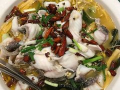 -周正水煮活鱼·吊水鱼(万科店)