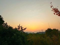-新江湾城公园