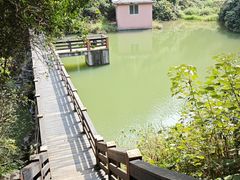 -水濂山森林公园