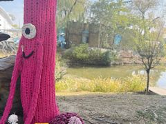 -溱湖国家湿地公园