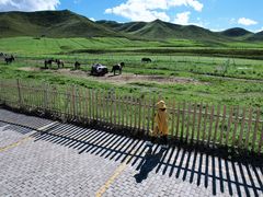 -扁都口生态休闲旅游区